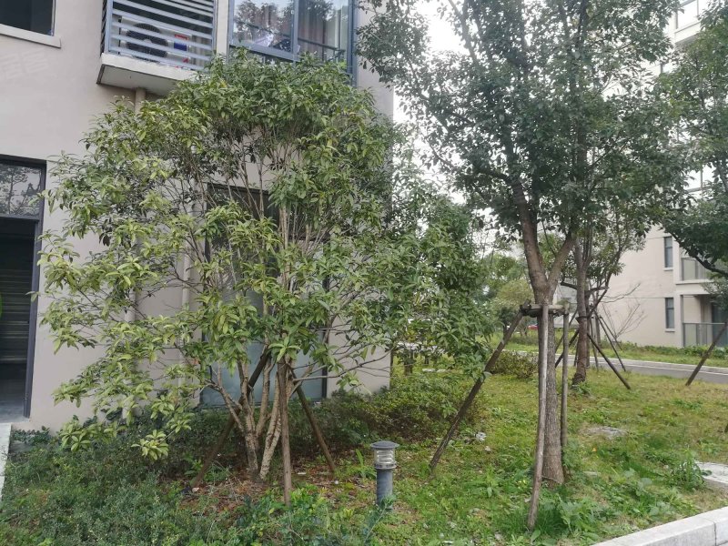 丰翔嘉园,牛山西路-温州丰翔嘉园二手房,租房,房价-温州安居客