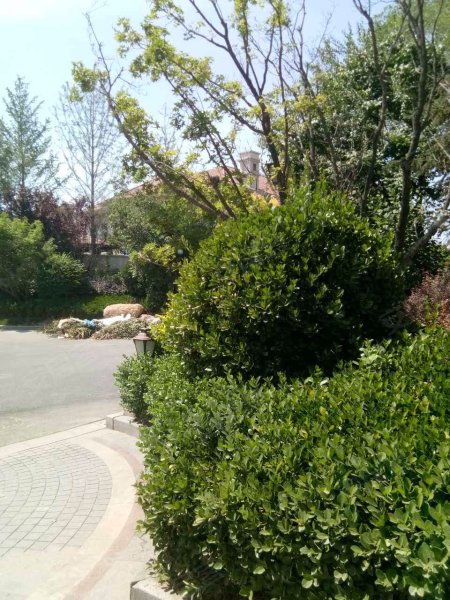 海逸豪园,绥江道-天津海逸豪园二手房,租房,房价-天津安居客