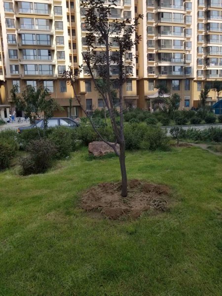 小马花园,龙城北街-太原小马花园二手房,租房,房价-太原安居客