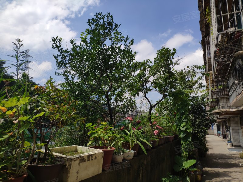 花溪大道北段468号楼