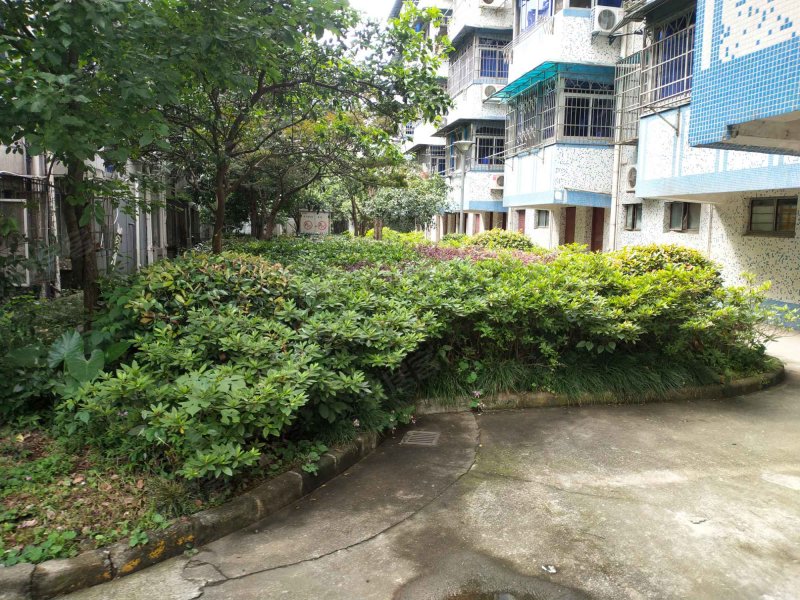 孝闻花园,永丰路199弄-宁波孝闻花园二手房,租房,房价-宁波安居客