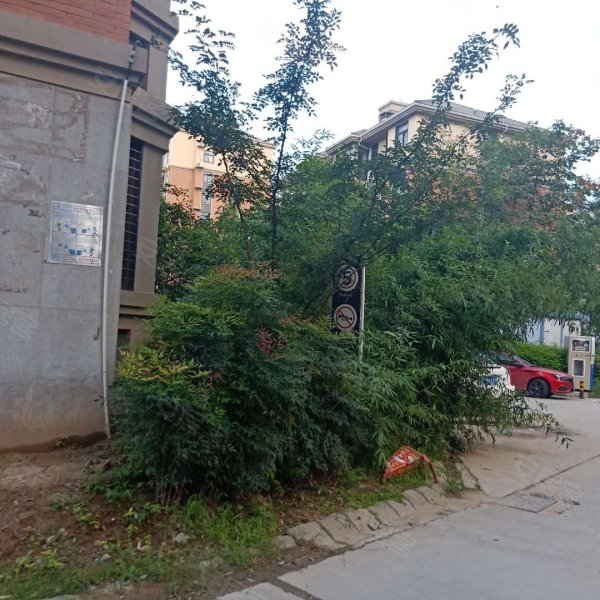 紫荆城,太昊路24号-周口紫荆城二手房,租房,房价-周口安居客