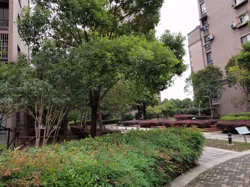 玉兰清苑(一期)