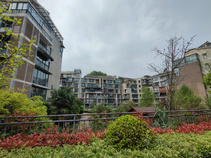 中天花园峰景时代