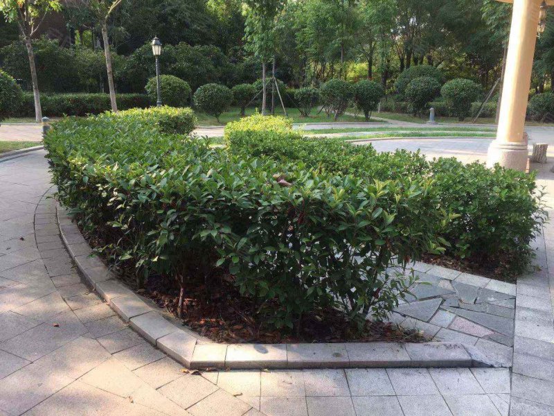 汇翠园小区,任兴路-济宁汇翠园小区二手房,租房,房价-济宁安居客