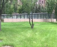 商城路1317弄小区 