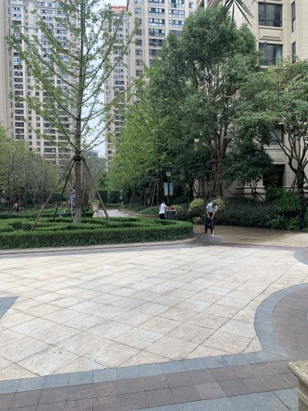 大诚金廷(别墅)