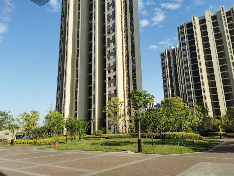 盈都君悦,启潮路48号-郓城盈都君悦二手房,租房,房价-郓城安居客