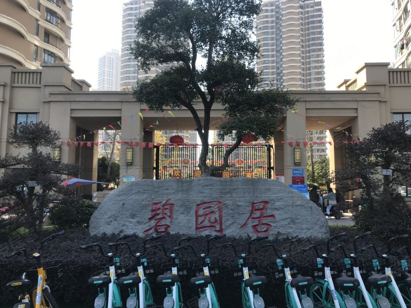 国博新城碧园居