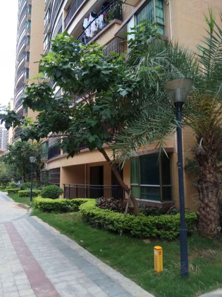 蓝湾半岛(博罗)