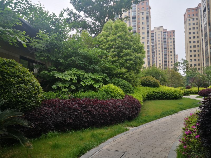 恒通蓝湾国际,兴城西路-扬州恒通蓝湾国际二手房,租房,房价-扬州安居