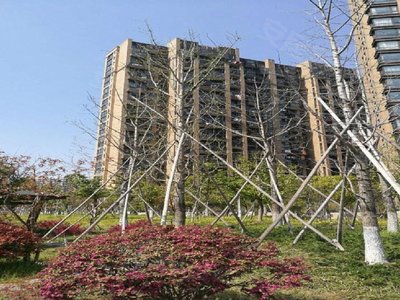 金地自在城东苑(公寓住宅)小区图片相册,杭州金地自在城东苑(公寓住宅