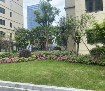 君豪御园
