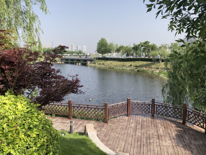 力高阳光海岸,滨海东路2016号-烟台力高阳光海岸二手房,租房,房价