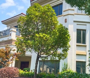 香湖丹堤(二期)