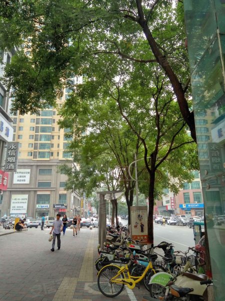 金悦公馆,南小街-石家庄金悦公馆二手房,租房,房价-石家庄安居客