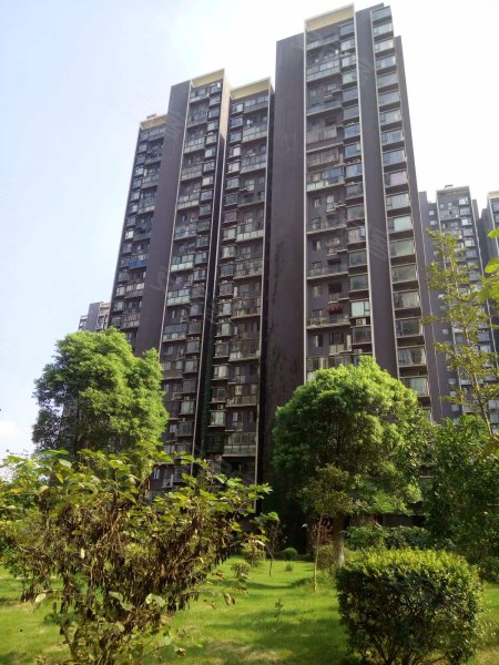 水榭花都(青云谱),施尧路555号-南昌水榭花都(青云谱)二手房,租房