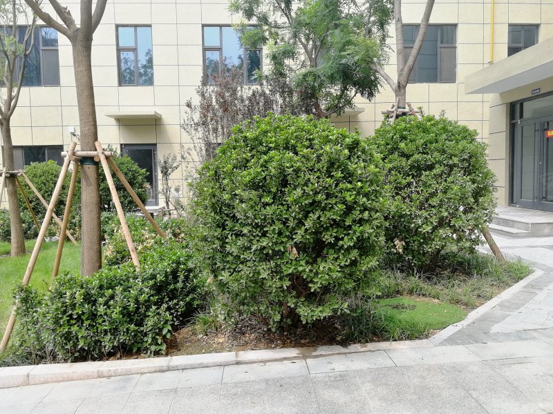 润都荣园,学苑路33号-石家庄润都荣园二手房,租房,房价-石家庄安居客