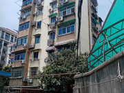 紫金山小区图片