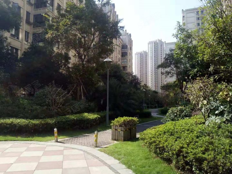 青林湾(七期观澔),青林湾街-宁波青林湾(七期观澔)二手房,租房,房价