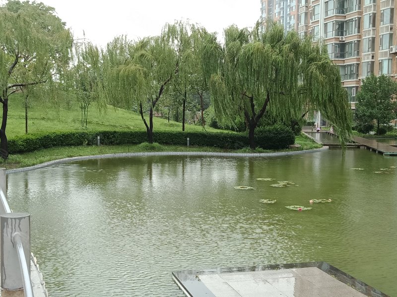 鼎邦丽池,蓉花路887号-潍坊鼎邦丽池二手房,租房,房价-潍坊安居客