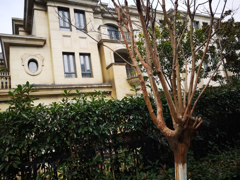 金都夏宫(别墅),南溪路-嘉兴金都夏宫(别墅)二手房,租房,房价-嘉兴