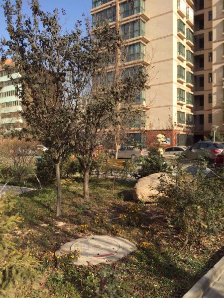 兴隆金河苑,河湾堡东街-兰州兴隆金河苑二手房,租房,房价-兰州安居客