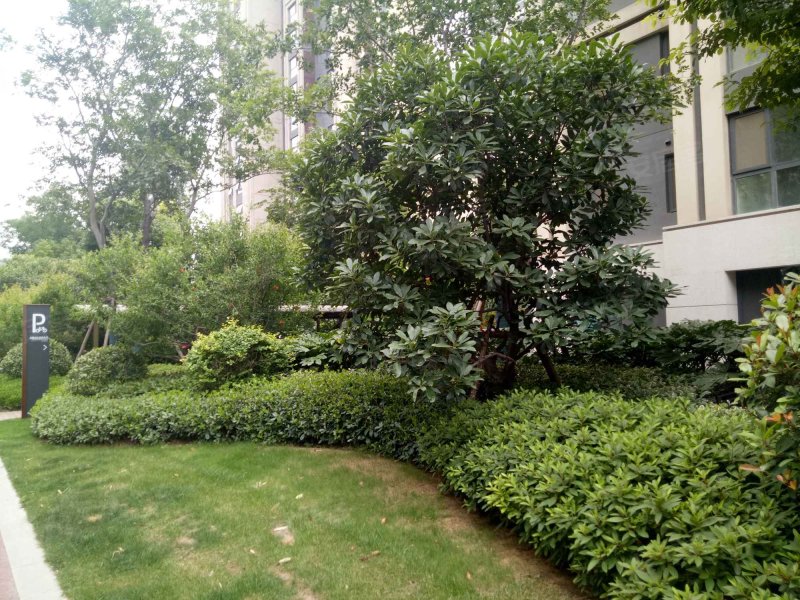 三王庄滨河花园