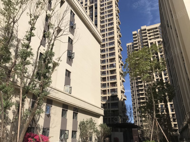 正荣府,桂山路-福州正荣府二手房,租房,房价-福州安居客