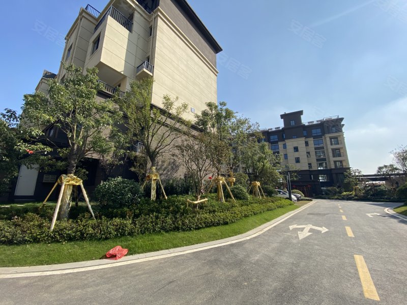 远洋棠悦山水(新房)