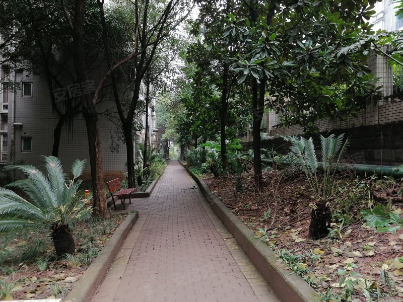 曦圆江南华都,龙洲大道2号-重庆曦圆江南华都二手房,租房,房价-重庆