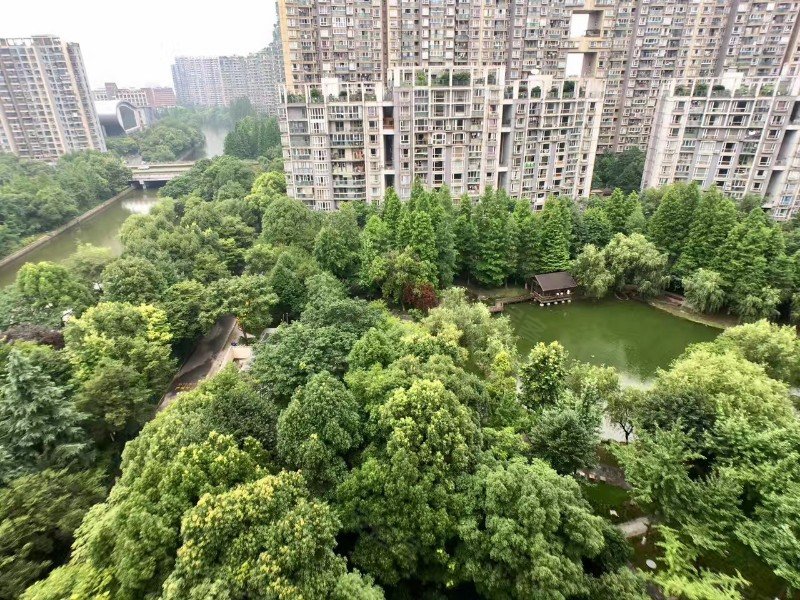 野风现代之窗,绍兴路187号-衡水野风现代之窗二手房,租房,房价-衡水