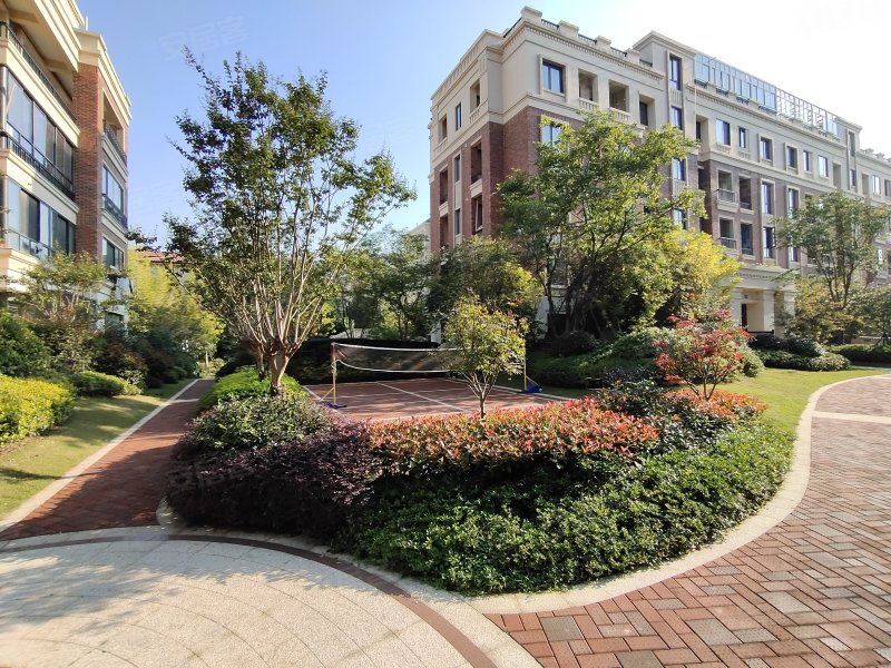 新湖景城郁金香郡