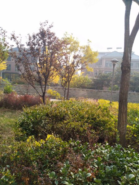 优山美地(别墅),红沟中街166号-太原优山美地(别墅)二手房,租房,房价