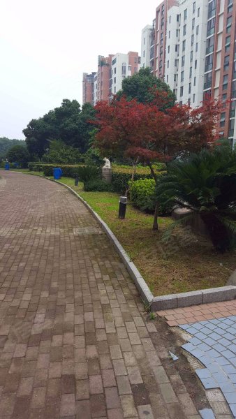 怡馨花园,何山路242号-苏州怡馨花园二手房,租房,房价-苏州安居客