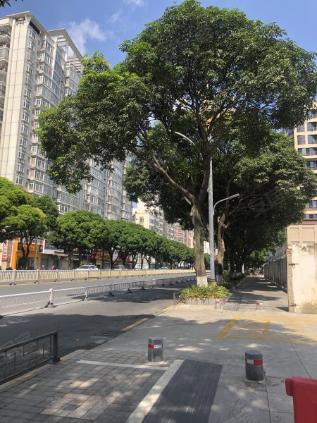 中天大厦,胜利东路51-1号-漳州中天大厦二手房,租房,房价-漳州安居客