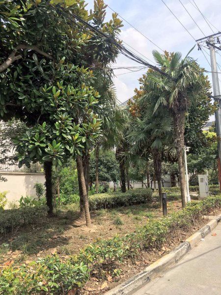 瑞和云庭壹街区