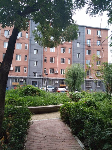 红松园,东坝中路-北京红松园二手房,租房,房价-北京安居客