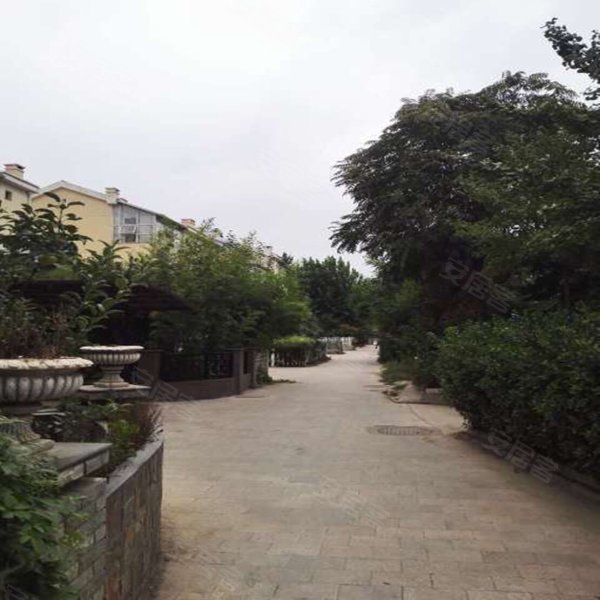 名人国际(别墅),恒祥北大街1101号-保定名人国际(别墅)二手房,租房