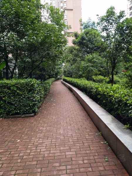 丽岛柳园(南区)