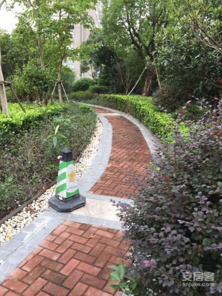 浦江华侨城(五期公寓住宅) 