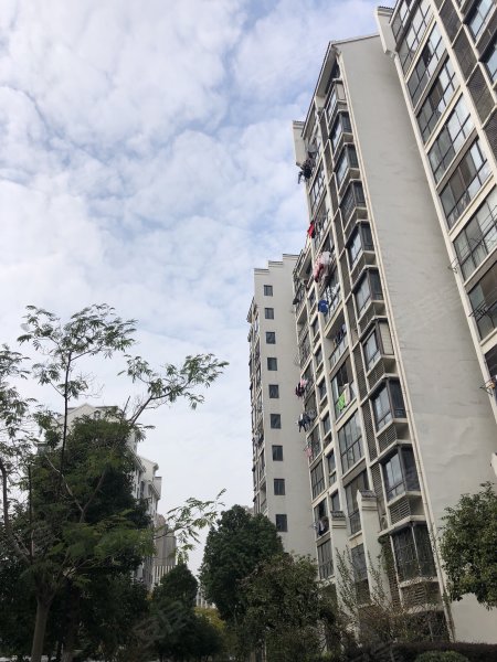 越湖名邸,吴中大道118号-苏州越湖名邸二手房,租房,房价-苏州安居客