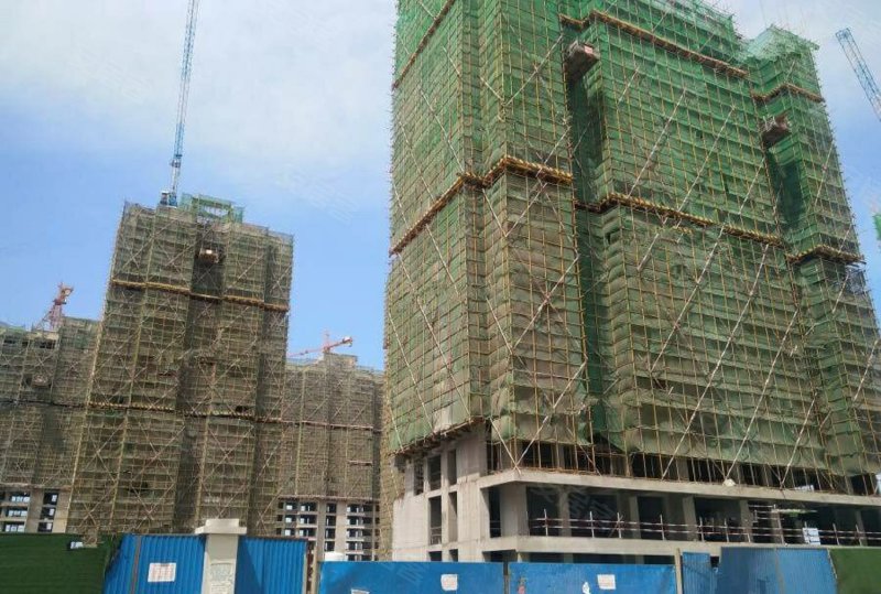 安德利鱼鸟河花园