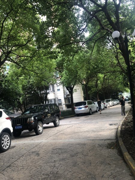 绿洲城市花园(三期),胶州路1216弄-上海绿洲城市花园(三期)二手房