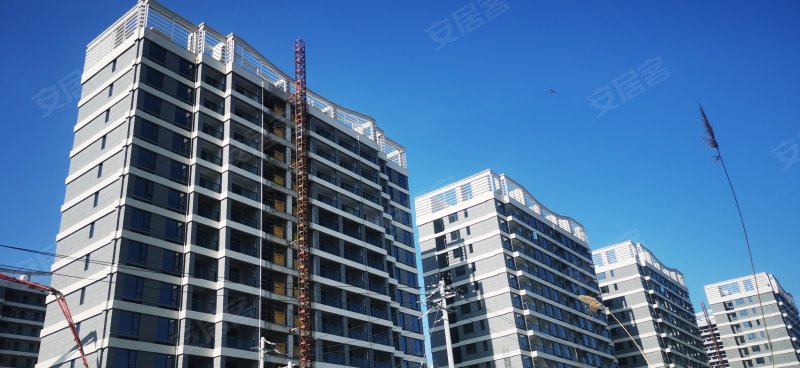 德信东宸里,金海大道,近滨海十五路-温州德信东宸里二手房,租房,房价