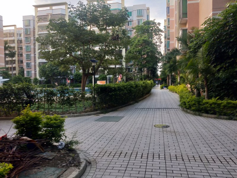 金禧花园金桦苑,金新北路5号-汕头金禧花园金桦苑二手房,租房,房价