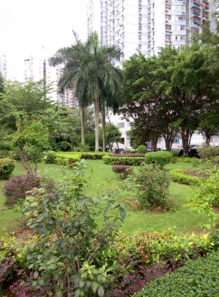 福源大厦,彩田路2014号-深圳福源大厦二手房,租房,房价-深圳安居客