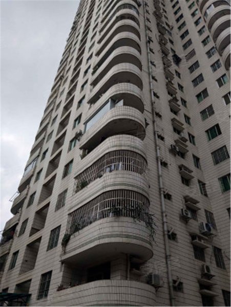 泰安大厦银座,民族大道38-2号-南宁泰安大厦银座二手房,租房,房价