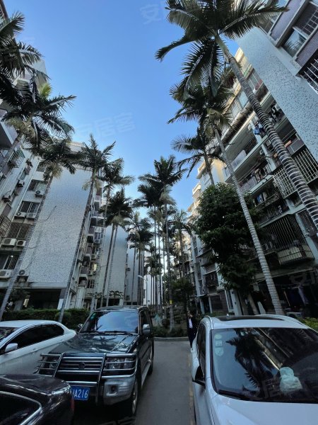 前埔南小区(店上西里),店上西里2-53号-厦门前埔南小区(店上西里)二手