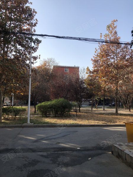 炮院家属院,建设东路23号-郑州炮院家属院二手房,租房,房价-郑州安居